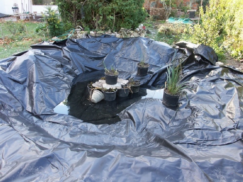 Bâches pour bassin de jardin : PVC, géotextile